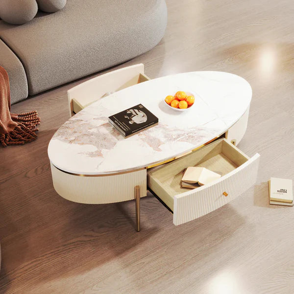 Modern Oval Coffee Table Centre Cocktail Table Side End Table with 2 Drawer