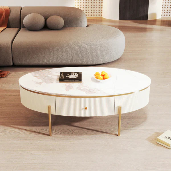 Modern Oval Coffee Table Centre Cocktail Table Side End Table with 2 Drawer